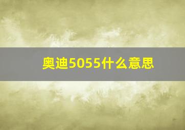 奥迪5055什么意思