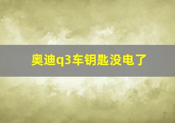 奥迪q3车钥匙没电了