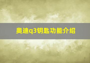 奥迪q3钥匙功能介绍