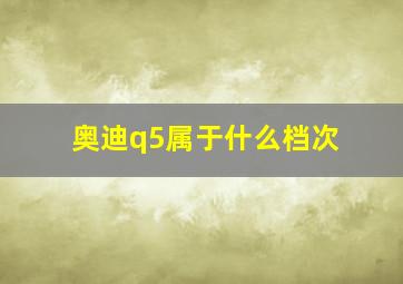 奥迪q5属于什么档次