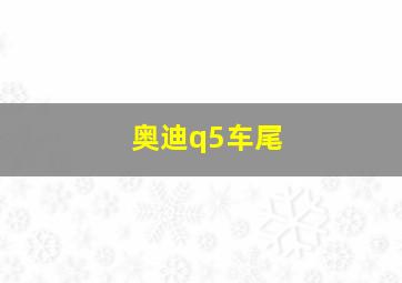 奥迪q5车尾