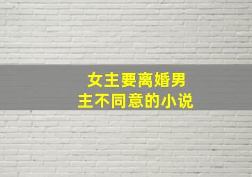 女主要离婚男主不同意的小说