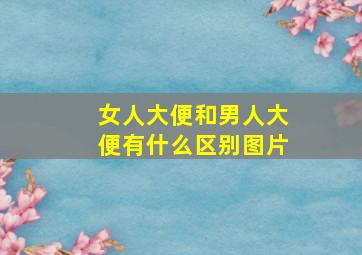 女人大便和男人大便有什么区别图片