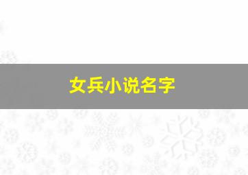 女兵小说名字