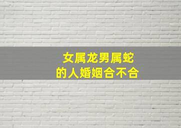 女属龙男属蛇的人婚姻合不合