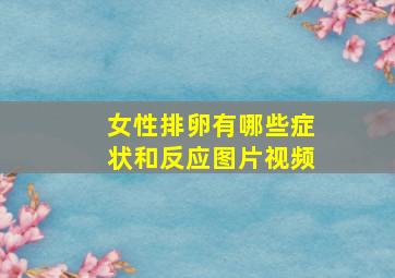 女性排卵有哪些症状和反应图片视频