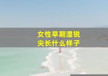 女性早期湿锐尖长什么样子