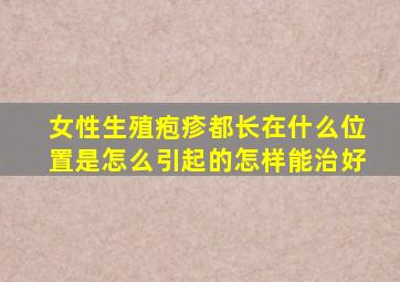 女性生殖疱疹都长在什么位置是怎么引起的怎样能治好