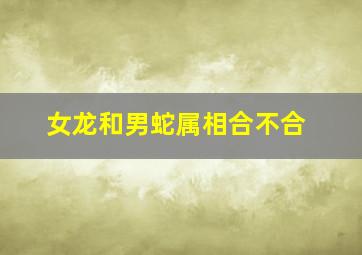 女龙和男蛇属相合不合