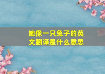 她像一只兔子的英文翻译是什么意思