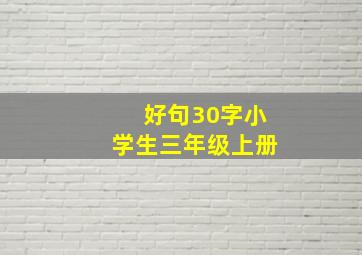 好句30字小学生三年级上册