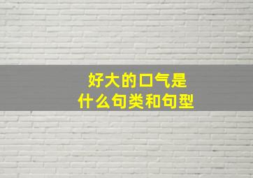 好大的口气是什么句类和句型