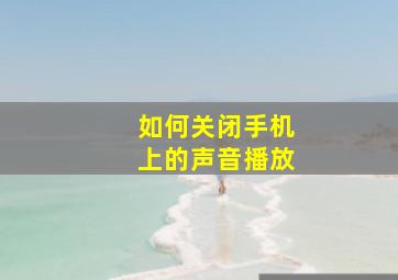 如何关闭手机上的声音播放