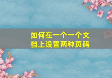 如何在一个一个文档上设置两种页码