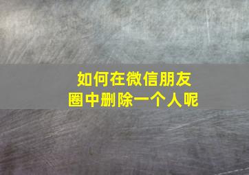 如何在微信朋友圈中删除一个人呢