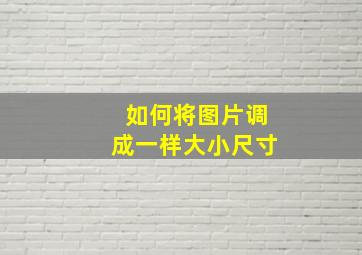 如何将图片调成一样大小尺寸