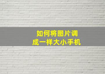 如何将图片调成一样大小手机