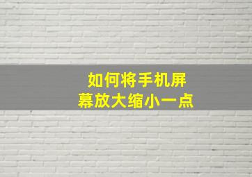 如何将手机屏幕放大缩小一点