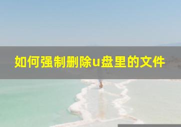 如何强制删除u盘里的文件