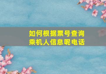 如何根据票号查询乘机人信息呢电话