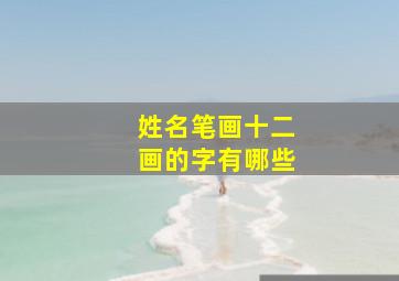 姓名笔画十二画的字有哪些