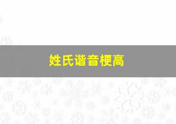 姓氏谐音梗高