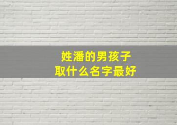 姓潘的男孩子取什么名字最好