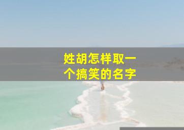 姓胡怎样取一个搞笑的名字