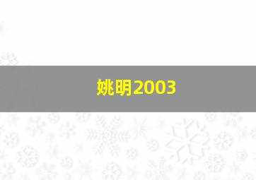 姚明2003