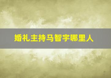 婚礼主持马智宇哪里人