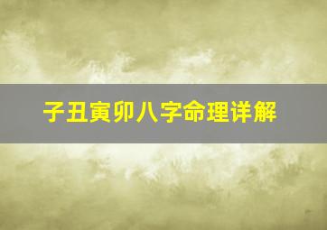 子丑寅卯八字命理详解