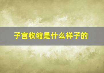 子宫收缩是什么样子的