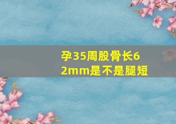 孕35周股骨长62mm是不是腿短