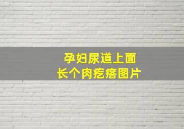 孕妇尿道上面长个肉疙瘩图片