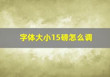 字体大小15磅怎么调