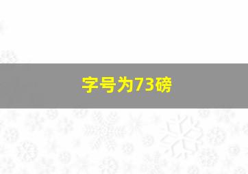 字号为73磅