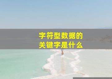 字符型数据的关键字是什么