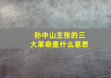 孙中山主张的三大革命是什么意思