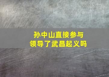 孙中山直接参与领导了武昌起义吗