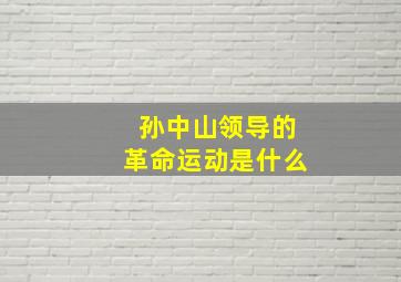 孙中山领导的革命运动是什么