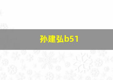 孙建弘b51