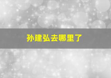 孙建弘去哪里了