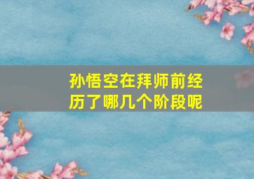 孙悟空在拜师前经历了哪几个阶段呢