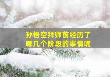 孙悟空拜师前经历了哪几个阶段的事情呢