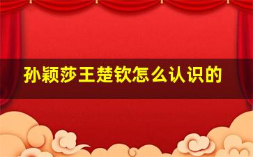 孙颖莎王楚钦怎么认识的