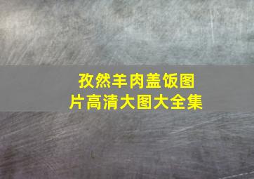 孜然羊肉盖饭图片高清大图大全集