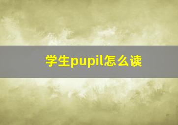 学生pupil怎么读