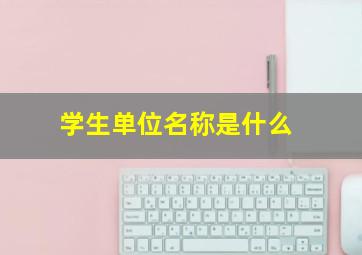 学生单位名称是什么