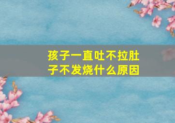 孩子一直吐不拉肚子不发烧什么原因