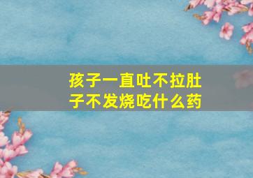 孩子一直吐不拉肚子不发烧吃什么药